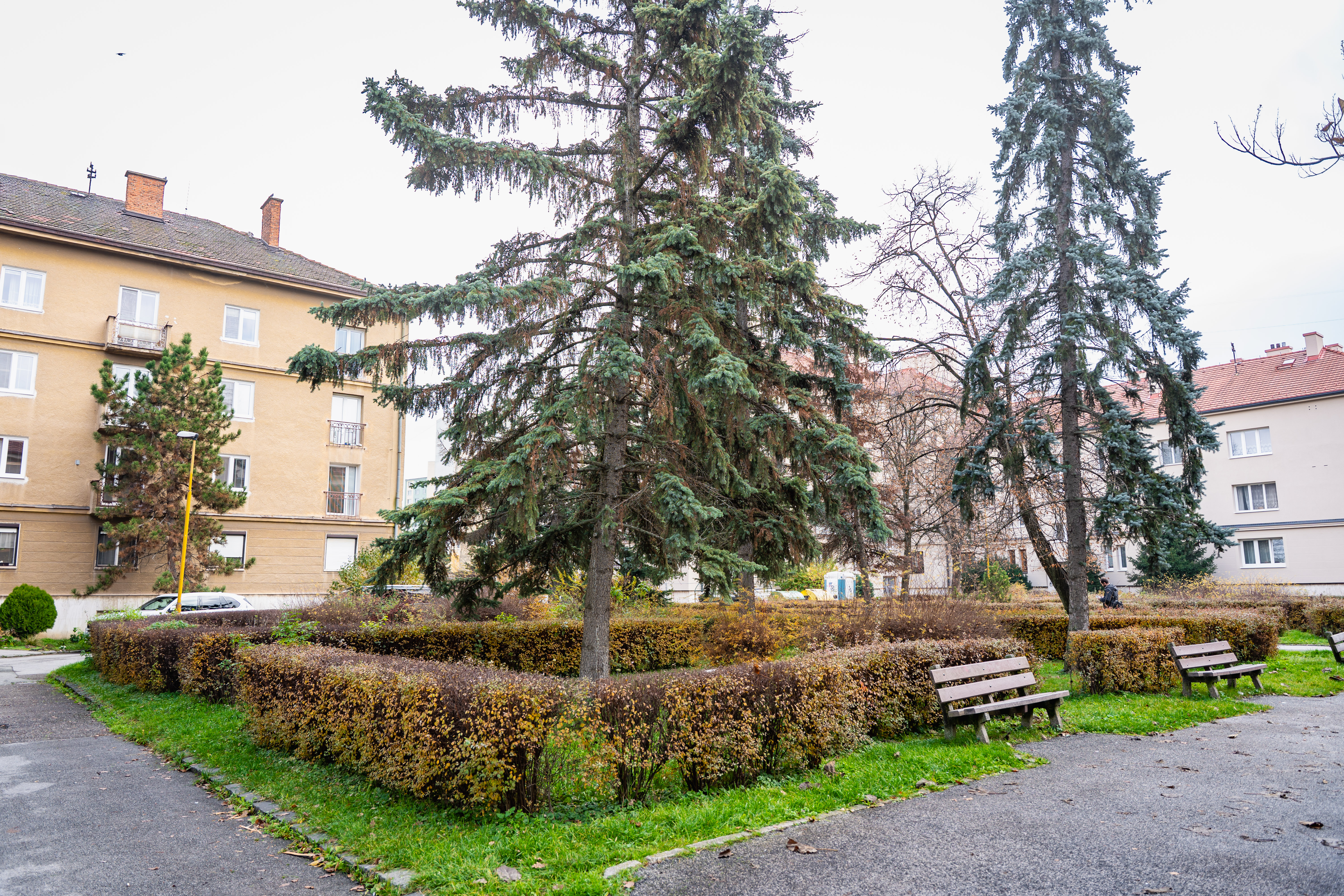 Odovzdanie staveniska - Pasteurovo nam.-24